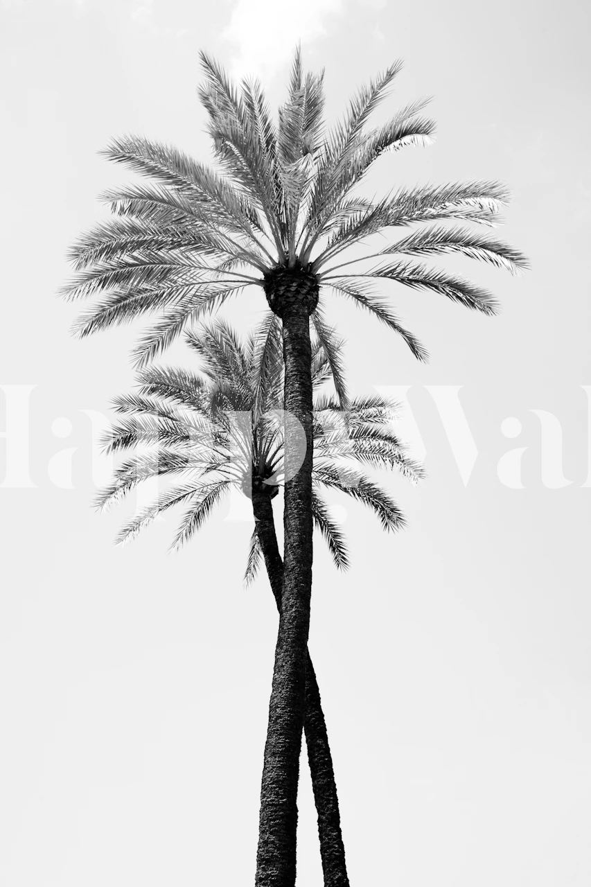 Twee palmboom silhouetten tegen een witte achtergrond zwart-wit wallpaper