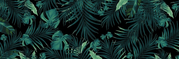 Tropical Jungle Night 1 w 4