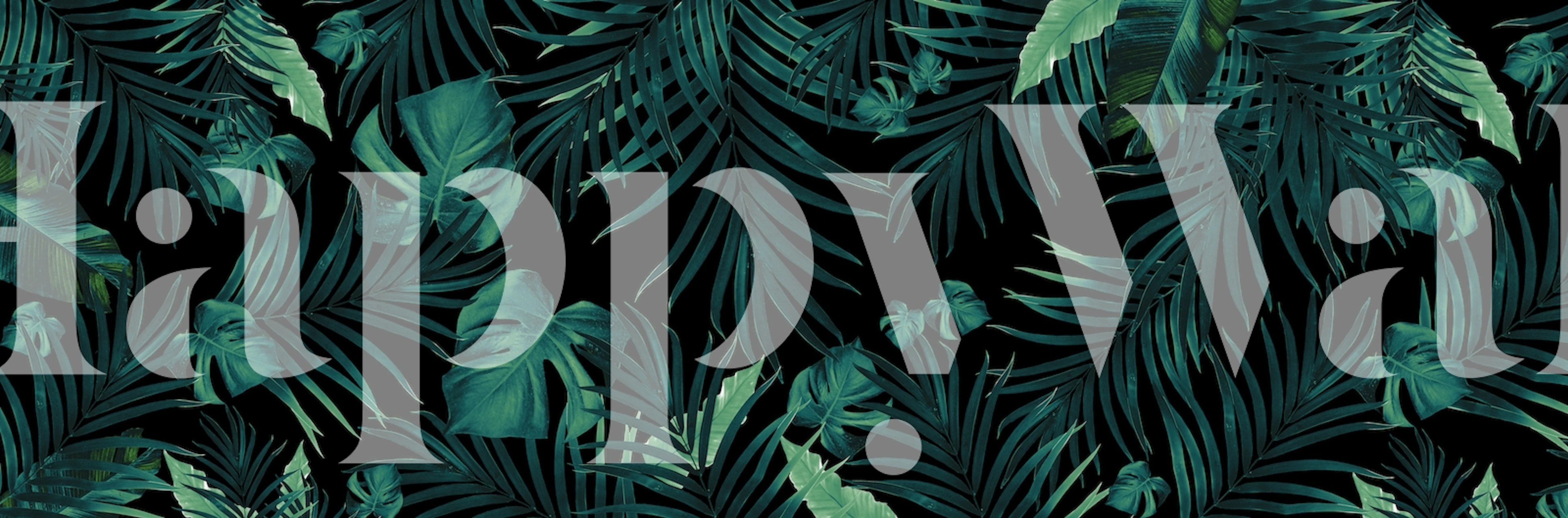 Tapeta Tropical Jungle Dream w pokoju