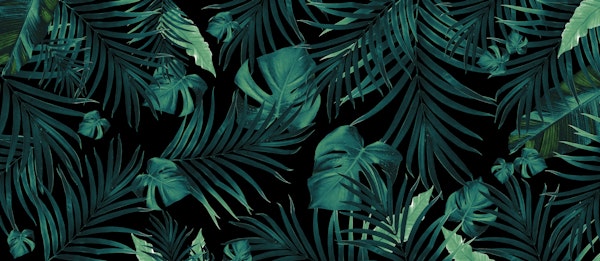 Tropical Jungle Night 1 w 5