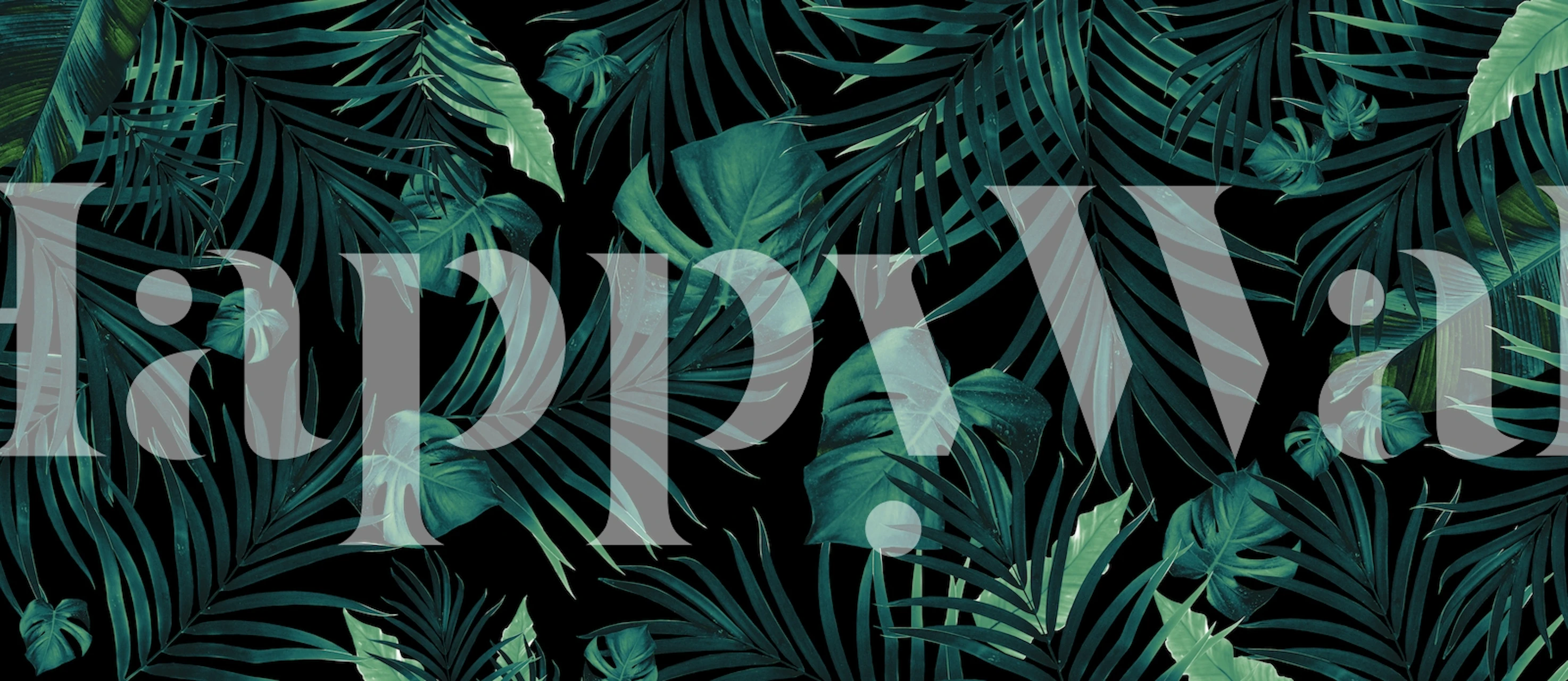 Tropical jungle design with green leaves and black background wallpaper