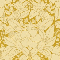 Hibiscus Damask Yellow wallpaper
