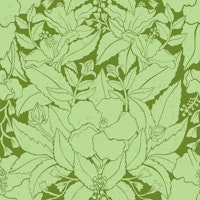 Hibiscus Damask Green wallpaper