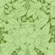 Hibiscus Damask Green