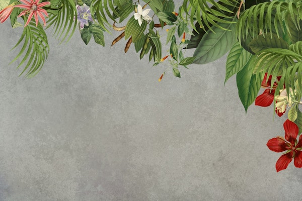 Jungle Vibe And Concrete