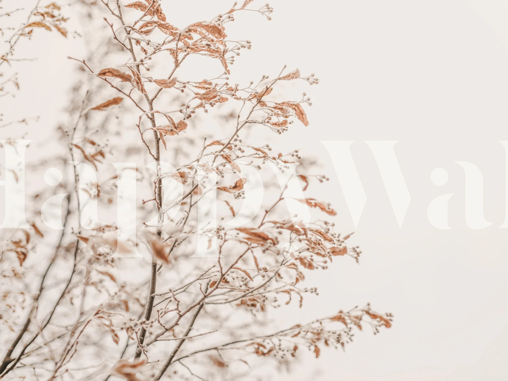 Branches givrées cuivrées sur fond clair wallpaper