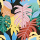 Abstract Flora