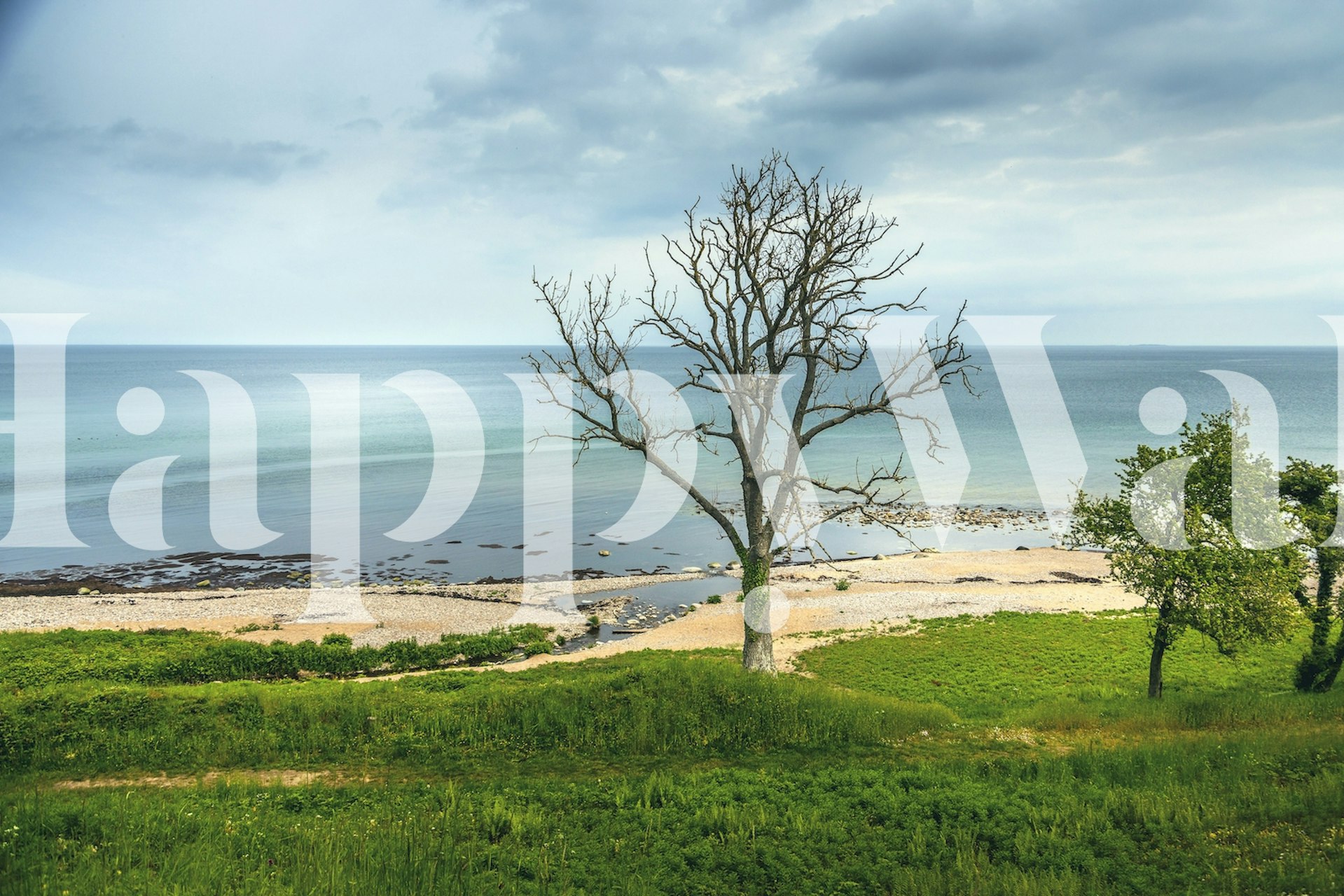 Luonnonkaunis näkymä Bornholmin saaren rannalle yksinäisen puun seinämaalauksella