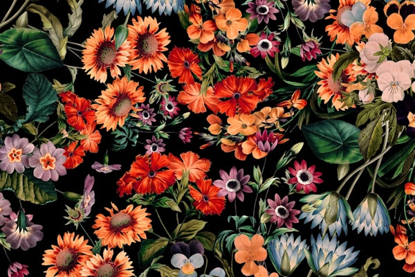 Glow in the Dark Botanicals II