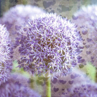 Τοιχογραφία