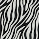 Classic Zebra Pattern