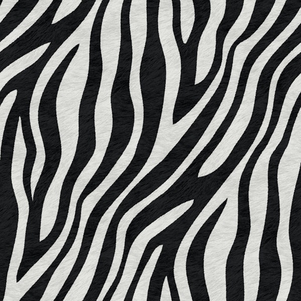 Classic Zebra Pattern