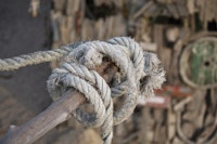 Old Rope Tied On Driftwood tapete