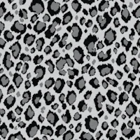 Leopard Pattern Grey Black tapete