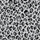 Leopard Pattern Grey Black