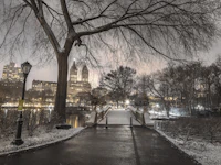 Evening Gaze of Central Park wallpaper