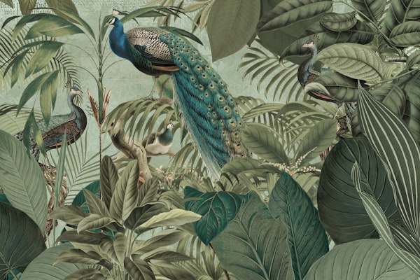 Peacocks Jungle Adventure Green