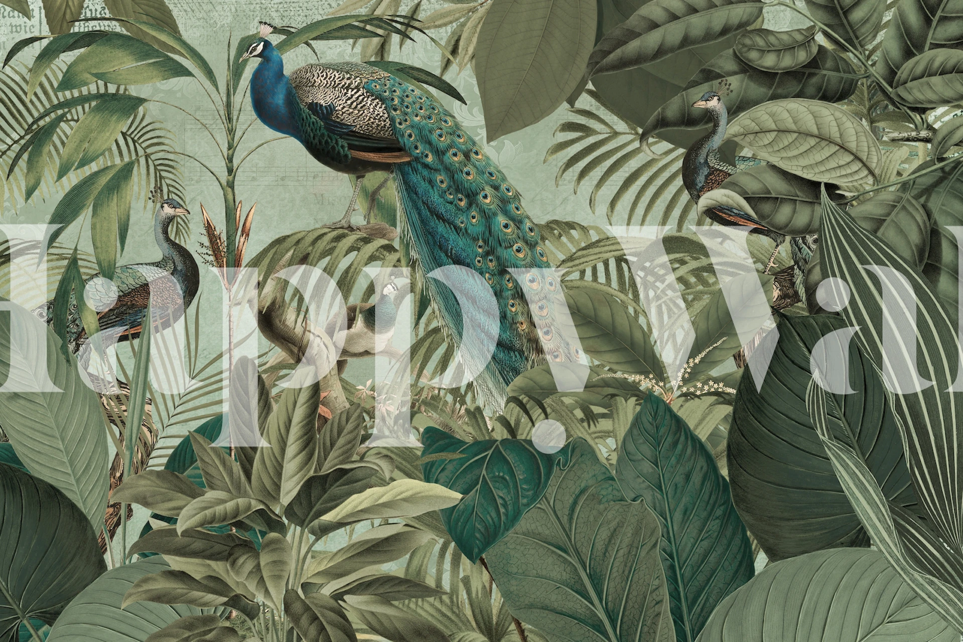 Peacocks Jungle Adventure wall mural with green foliage and peacock detail