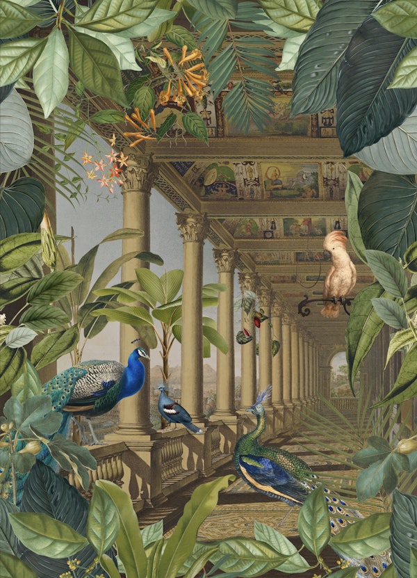 Lost Jungle Place With Peacocks II