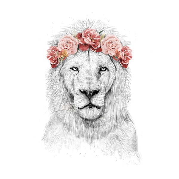 Festival lion