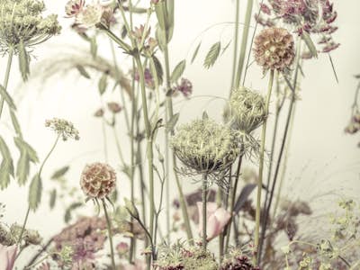 Τοιχογραφία