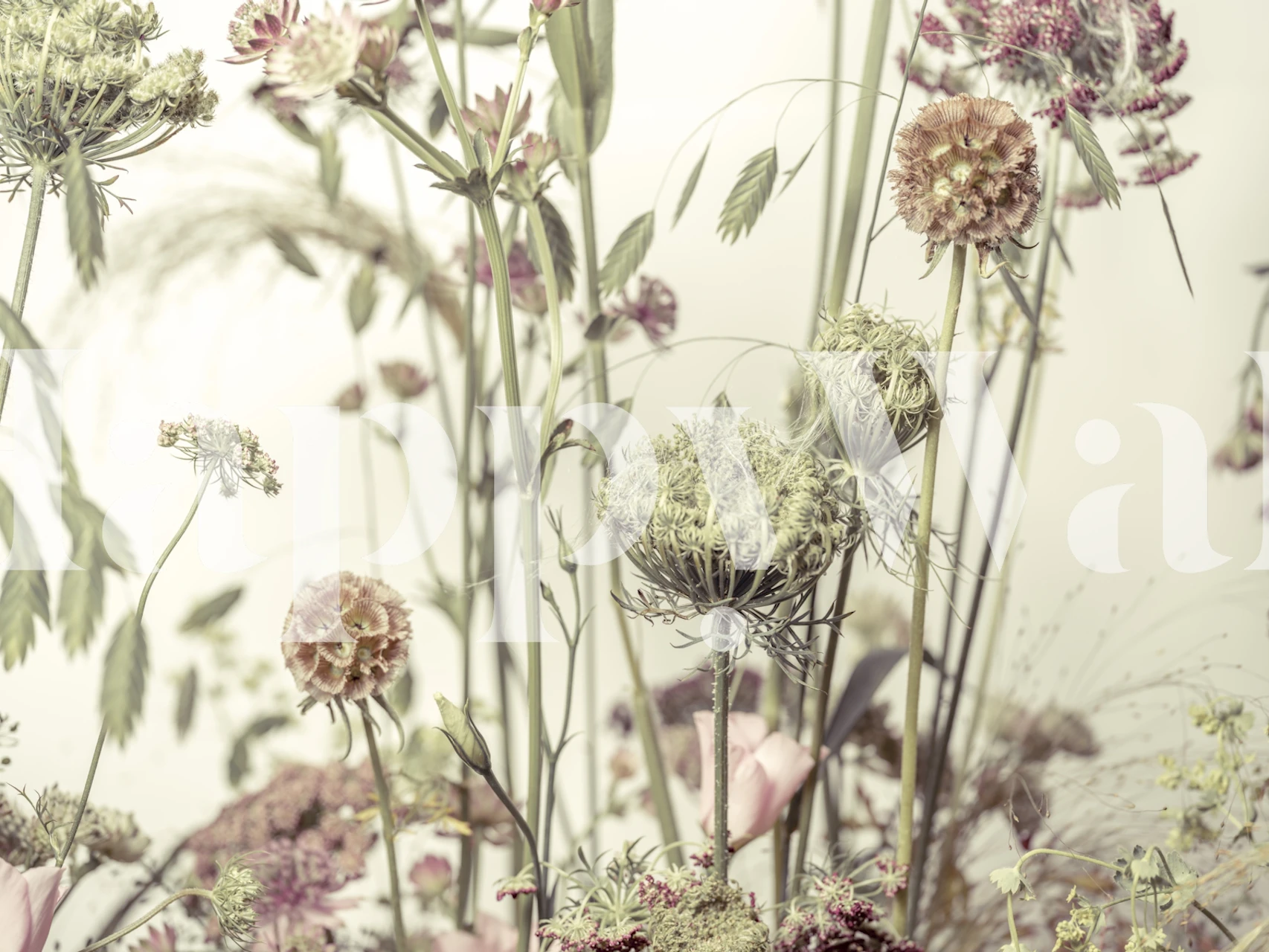 Wildflowers in soft pastel shades with a natural aesthetic wallpaper