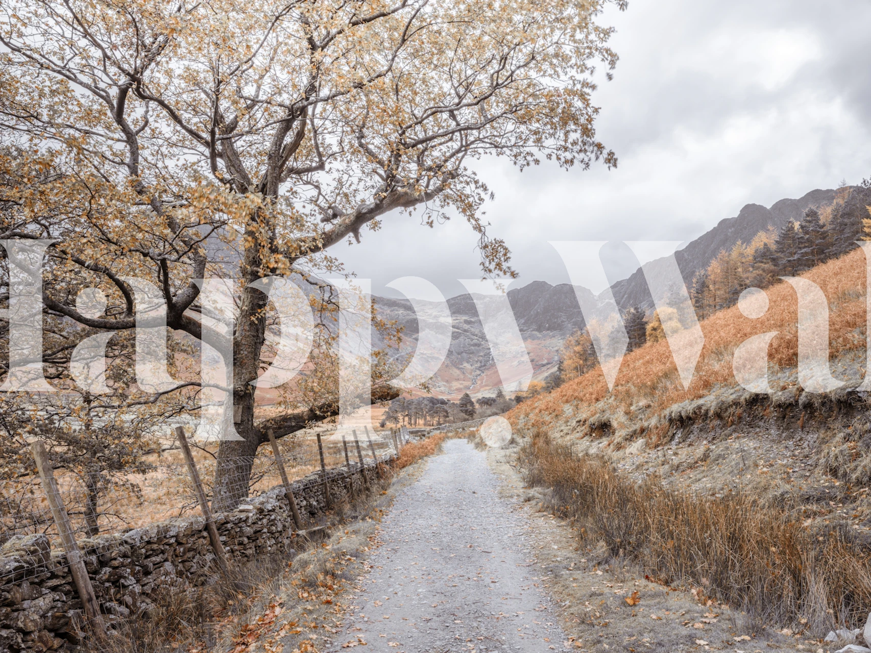 Scenic landscape wallpaper with trees and pathway in muted earth tones