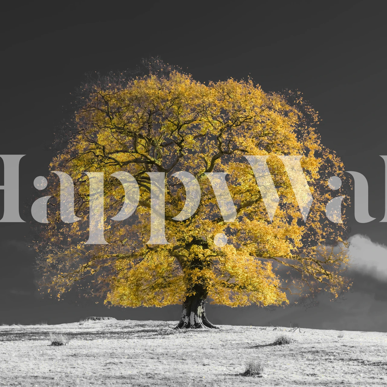 Bold yellow leafed tree on black background wallpaper