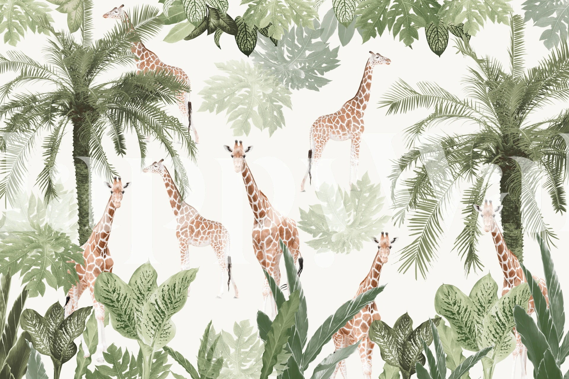 Giraffe wallpaper displayed in a room