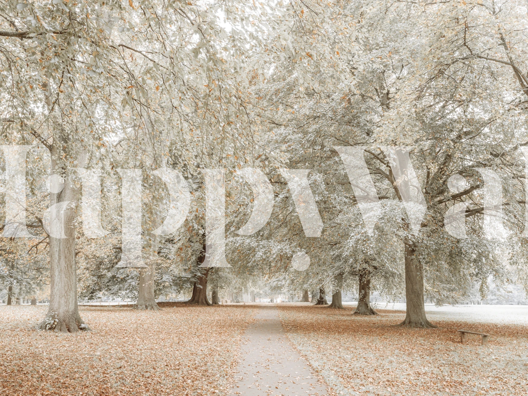A serene autumnal scene with a pathway lined by trees shedding their leaves