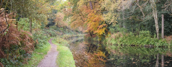 Picturesque Autumn Path