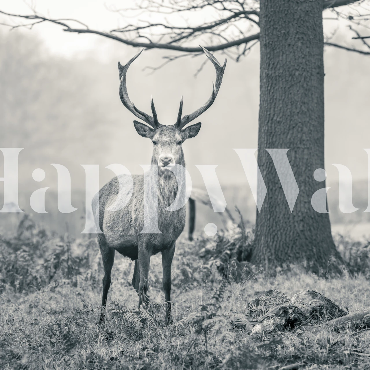 Tapeta Regal Presence u sobi