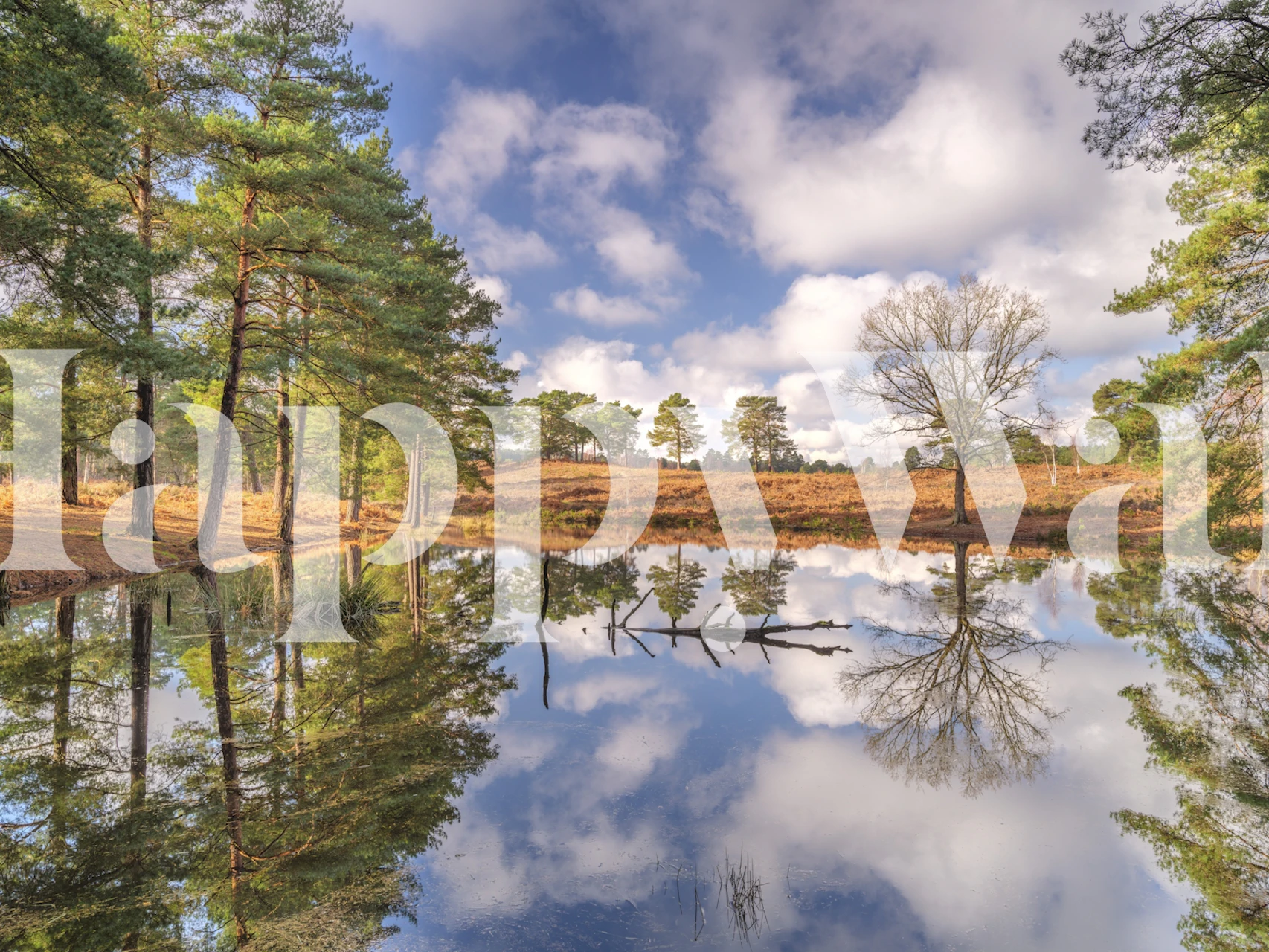 Nature landscape wallpaper with blue skies, green trees, and reflection in water.