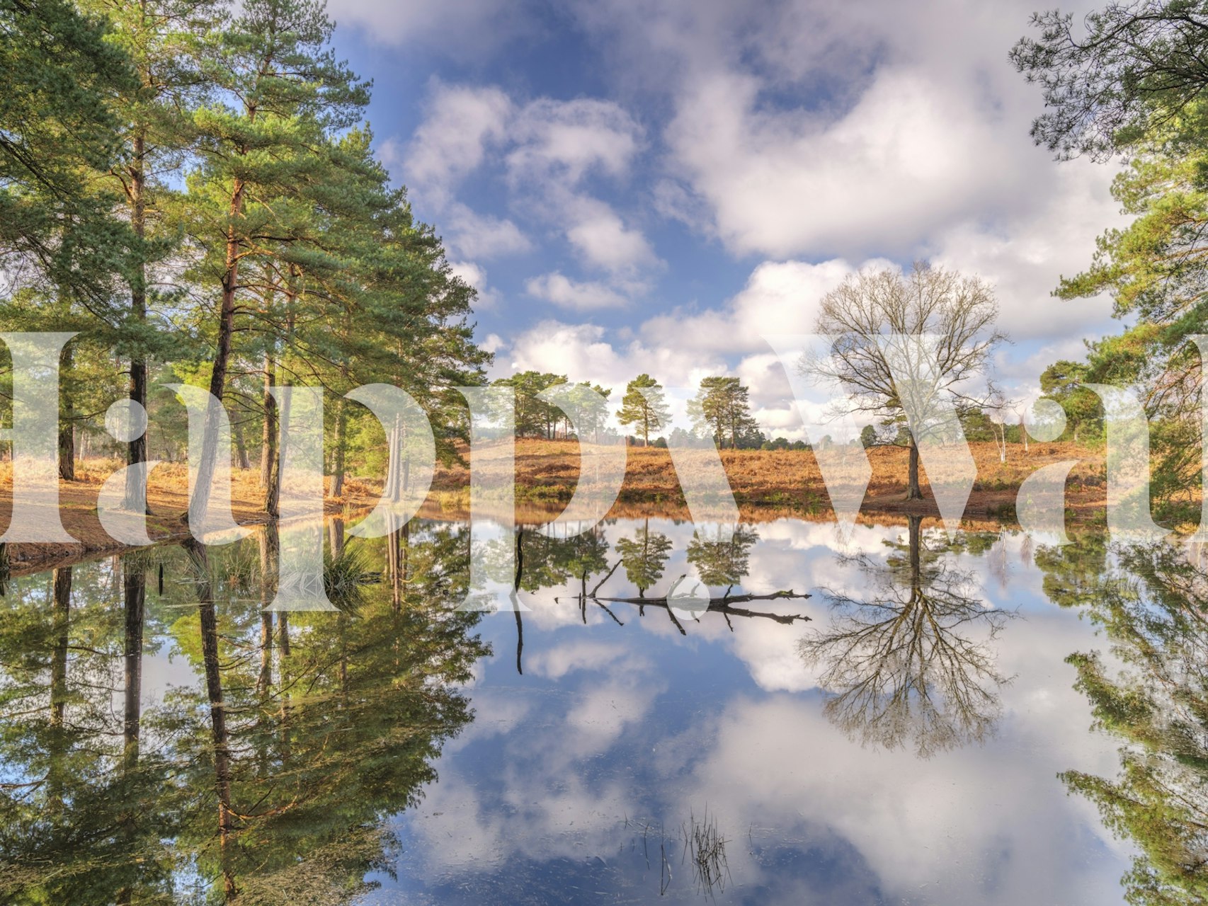 Nature landscape wallpaper with blue skies, green trees, and reflection in water.