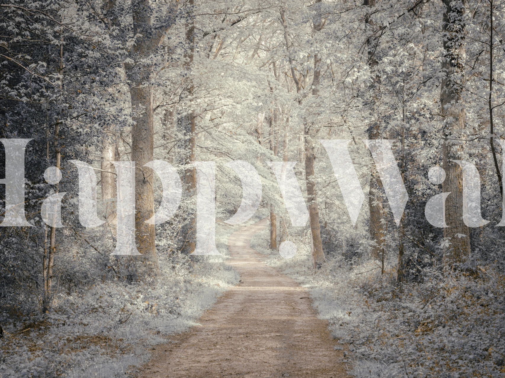 Forest pathway with trees and soft light, gray and green tones, nature wallpaper