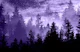 Forest Galaxy Dream 2