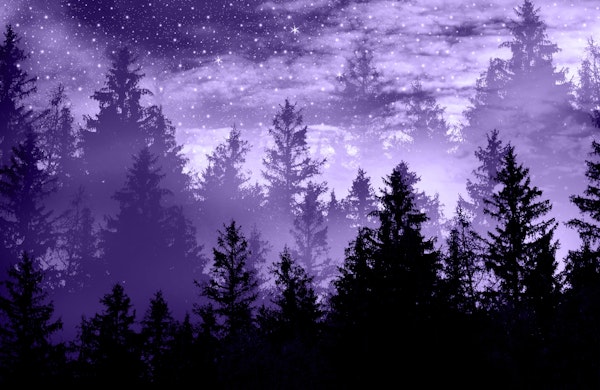 Forest Galaxy Dream 2