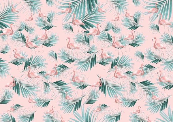 Blush Flamingo Palm Vibes 1a