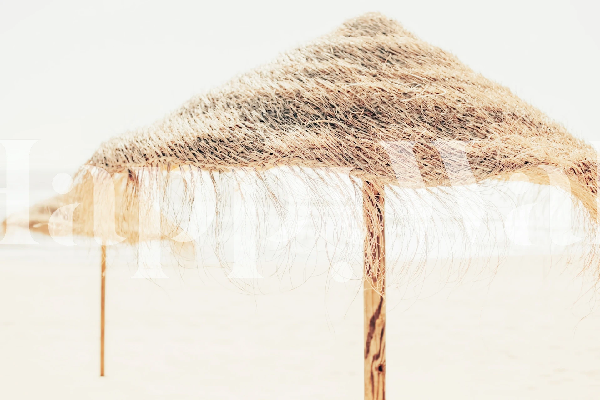 Beach straw umbrellas on warm sand; light natural tones wallpaper