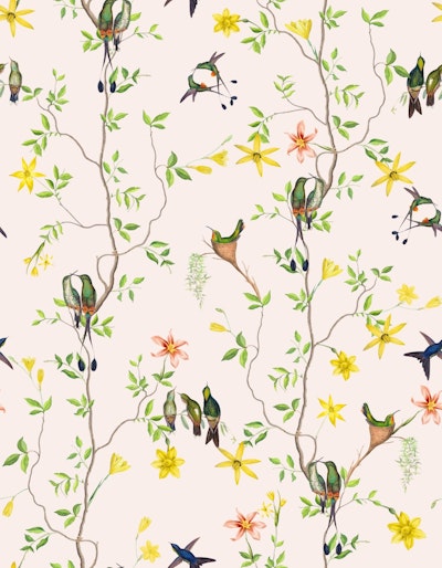 Pattern