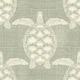 Sea Turtle