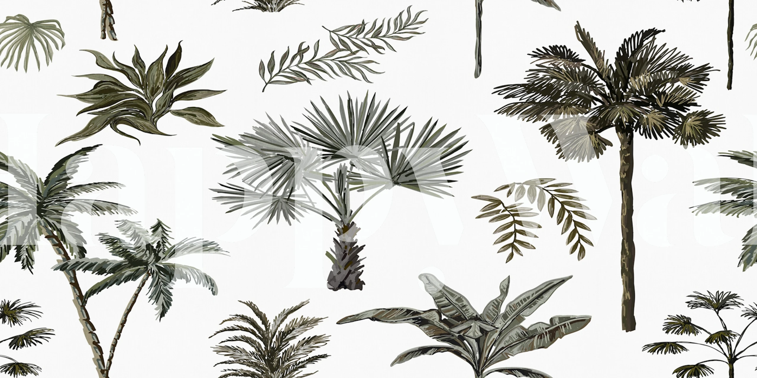 Monochrome tropical tree wall mural with white background