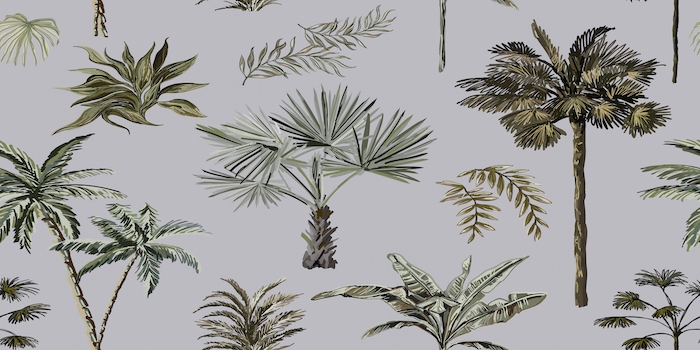 Gray Tropical Palm Leaf Wallpaper