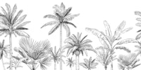 TREE PALMS WHITE ταπετσαρία