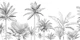 TREE PALMS WHITE