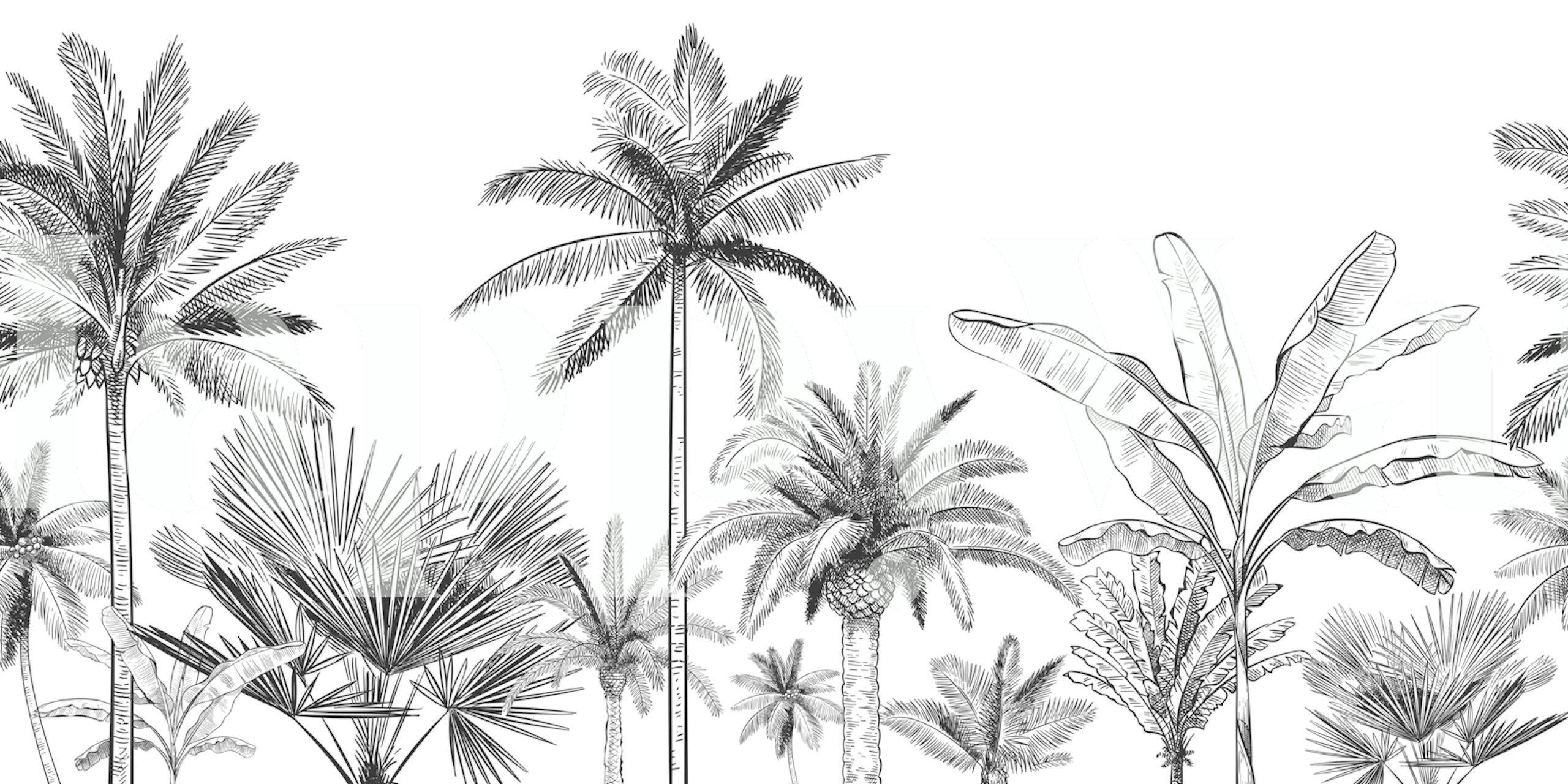 Black and white tropical palm trees wallpaper