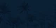 TREE PALMS NIGHT