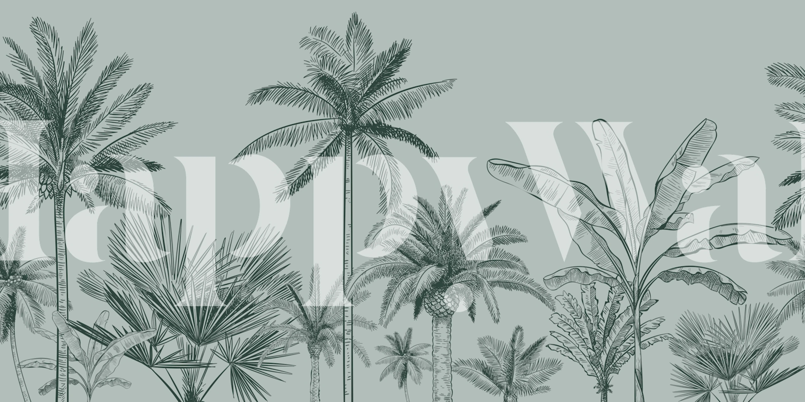 Tree Palms Green Wallpaper With Palm Trees
