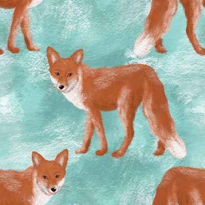 Pattern