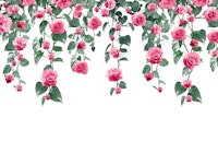 Pothos Ivy Rose Garland Dream 2 tapet